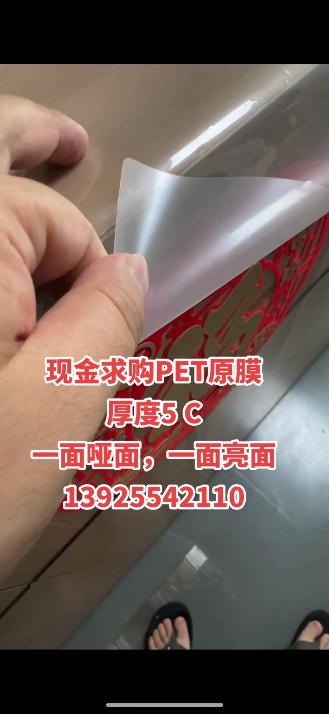 現金求購PET原膜 厚度5 C 一面啞面，一面亮面 