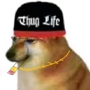 吳旭